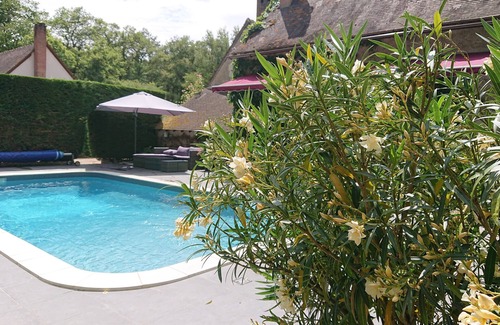 Amboise House | GITE WITH SWIMMING POOL in the heart of the Amboise forest, 5 minutes from Chenonceaux