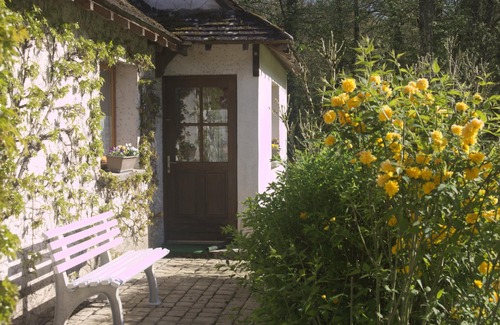 Amboise House | GITE WITH SWIMMING POOL in the heart of the Amboise forest, 5 minutes from Chenonceaux