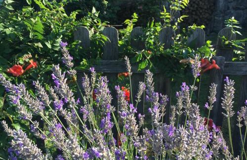 Saint-Alban-d'Ay House | Gites de Gobertier