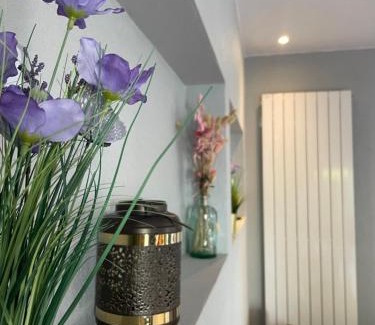 Ittenheim House | Gites Spa Strasbourg - Villa Cerf - SPA Privé, Sauna, Borne d'arcade, Babyfoot