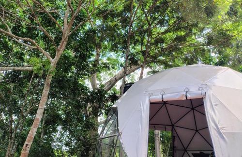San Jose del Guaviare Other | Glamping Aveja