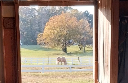 McLeansville House | Glamping in our 100 year old rustic bunkhouse on a 20 acre working horse farm !