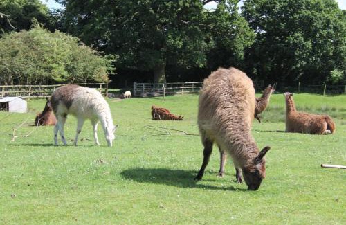 Stourbridge Other | Glamping West Midlands