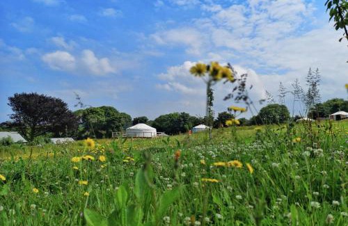 Newquay Other | Glamping Yurts near Newquay