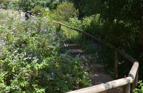 Cape Winelands House | Glasshouse In The Winelands
