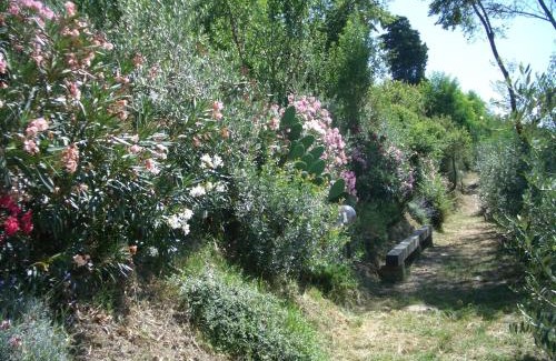 Castelfiorentino House | Gli Oleandri