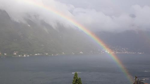 Nesso House | Gli Ulivi di Nesso