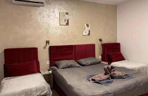 Constanta House | Gold Star House