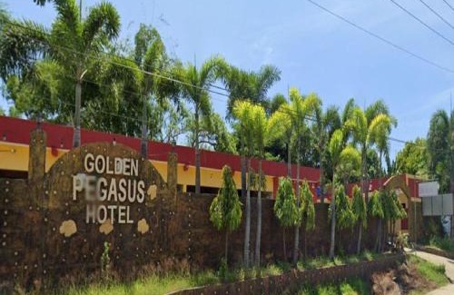 San Juan Hotel | Golden Pegasus Hotel La Union by RedDoorz