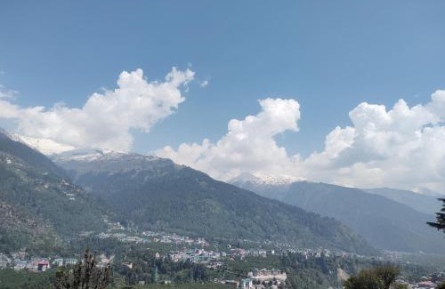 Simsa Village Hotel | Golden Wood Manali