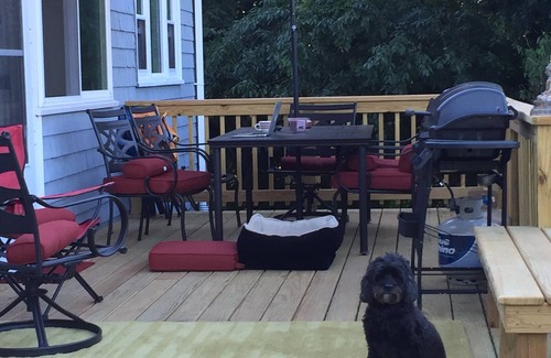 Gloucester House | Good Harbor Beach Retreat ~ Walk to beach, shops, restaurants ~Dog Friendly
