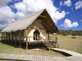 Addo Other | Gorah Elephant Camp