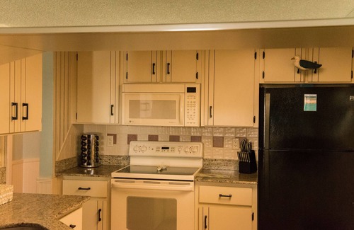 Daytona Beach Shores Condo | Gorgeous Condo with Amazing Views of the Ocean!