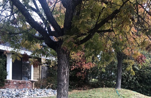 American River Canyon House | Gorgeous Home and Tranquil- Host couple is on site.