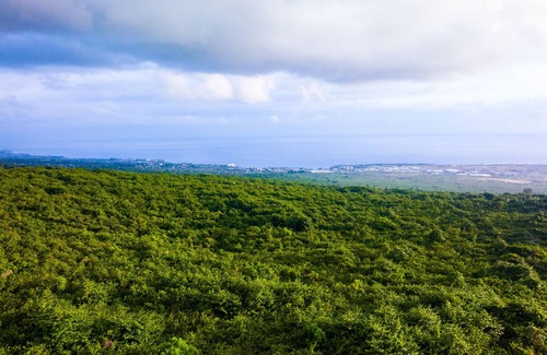 Kailua-Kona House | Gorgeous Private Pool Home and Studio