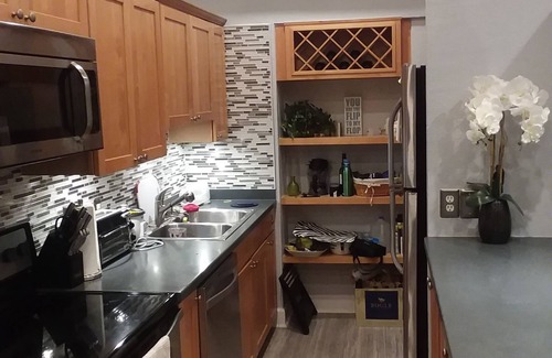 St. Petersburg Condo | Gorgeous St Pete prime location DT Condo with Bay views !