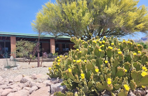 Oro Valley House | Gorgeous Views, Landscaping, Pristine Pool Near Catalina Mountains, WiFi, More!