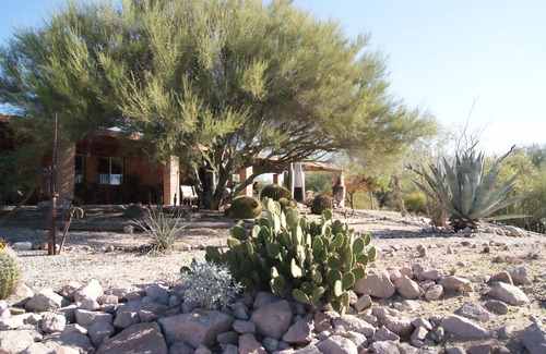 Oro Valley House | Gorgeous Views, Landscaping, Pristine Pool Near Catalina Mountains, WiFi, More!