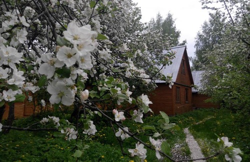 Prislon House | Gostevoi dom na Volge