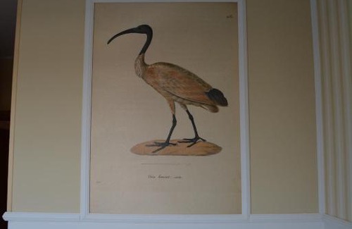 Apetlon House | Grüne Henne - Sleep & Drive