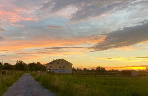 Apetlon House | Grüne Henne - Sleep & Drive