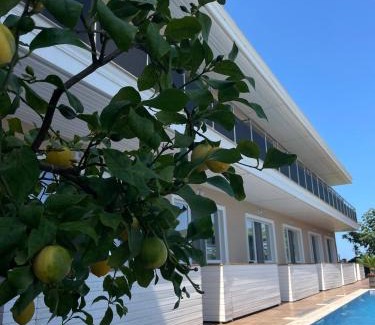 Chernomorets Apartment | Gradina Holiday