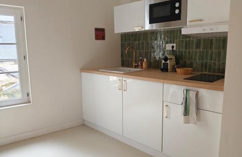 Chinon Apartment | Grand appart 2 chambres - Hyper centre - Calme