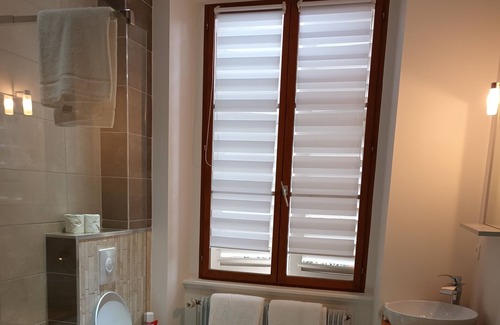 Quartier Saint-Leon Apartment | Grand Appartement au Charme Alsacien au Coeur de la Vieille Ville de Colmar