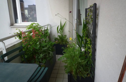 Les Fougeres Apartment | Grand Appartement Gambetta Pour JO 2024