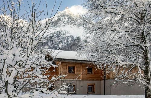 Les Bossons Ski Chalet | Grand chalet Le Trappeur - Chamonix