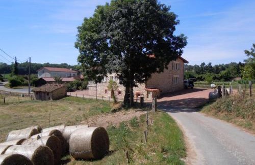 Chirassimont House | Grand gîte avec cheminée et animaux acceptés, idéal pour familles entre Lyon et Roanne - FR-1-496-65