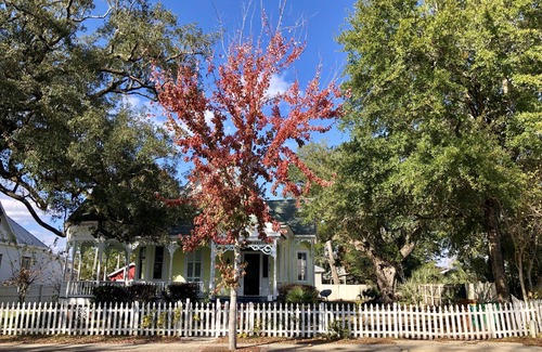 Biloxi House | Grand old house ! Definitely won’t disappoint!