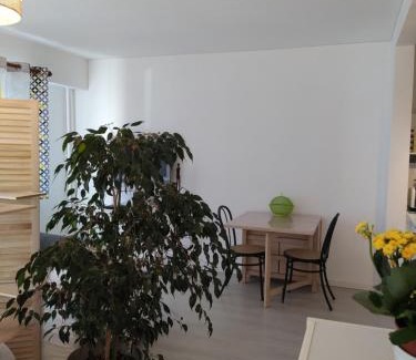 Ep 21 - Saint-Paul Apartment | Grand studio, super équipé, 2 pas du centre-ville "clos-du-boulanger" - parking privé