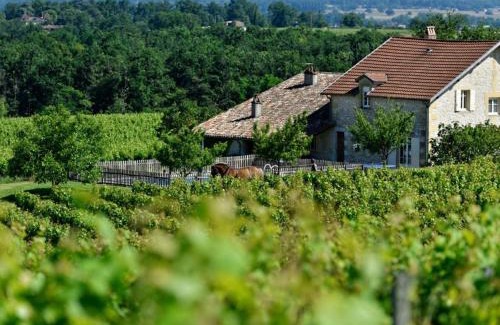 Saussignac House | Grande Maison de Caractère avec Piscine Privée au Cœur du Vignoble de Bergerac - FR-1-616-128