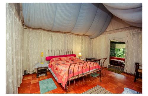 Pinangode Other | Grassroots Wayanad, Valley-view Tents