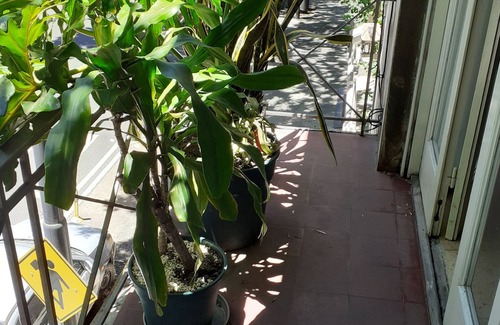 Barracas Apartment | Great location and beautiful Penthouse