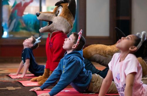 I-435 West KC-KS Resort | Great Wolf Lodge Kansas City