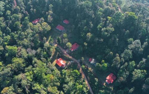 Madikeri Villa | Green Echoes by Tripture - Holiday Villas in Coorg