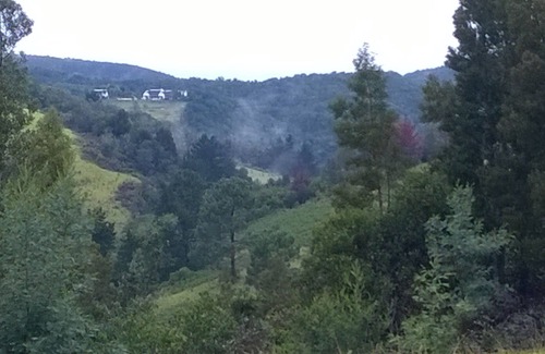Bitou Apartment | Green Hills Forest Lodge, The Crags, Plettenberg Bay, South Africa - UNIT 1