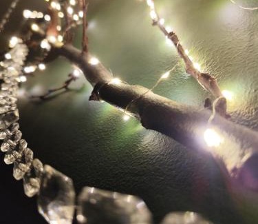 Delfoi Apartment | Green house in Chrisso