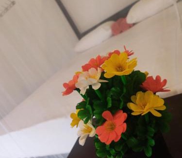 Matara Apartment | Green House, Upstairs Apartment