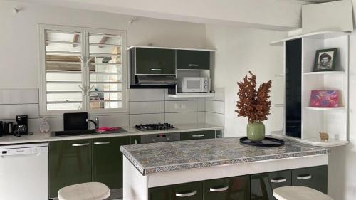 Le Morne-Vert House | Green loft