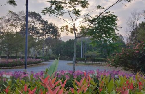 Phlap Phla Resort | Green Two Resort