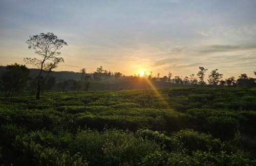 Nuwara Eliya Other | Green Valley Cabin Nuwara Eliya
