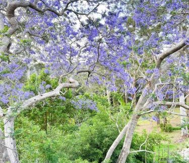 Kincumber Apartment | Green View Retreat Only 7 minutes to Terrigal Beach