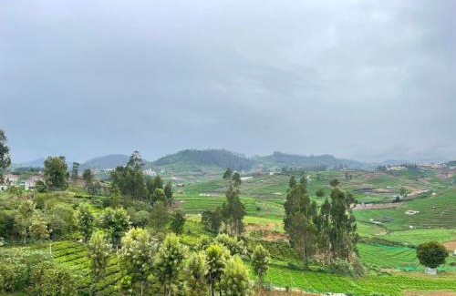 Ooty House | Greenish Mist Mountain