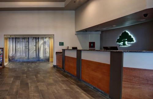 Northeast Heights Hotel | GreenTree Inn Albuquerque North I-25