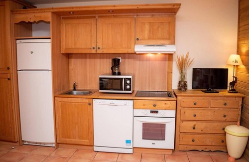 Pra Loup Apartment | Ground floor, view mountain, balcony, parking, tv, ski locker, 43m², Pra Loup