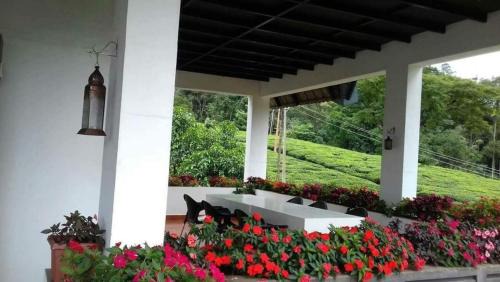 Chithirapuram Bed & Breakfast | Gruenberg Tea Plantation Haus