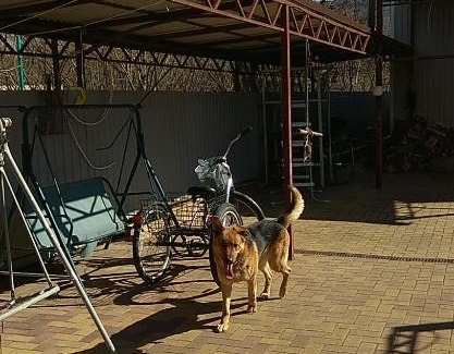 Bzhid House | Guest House Adel